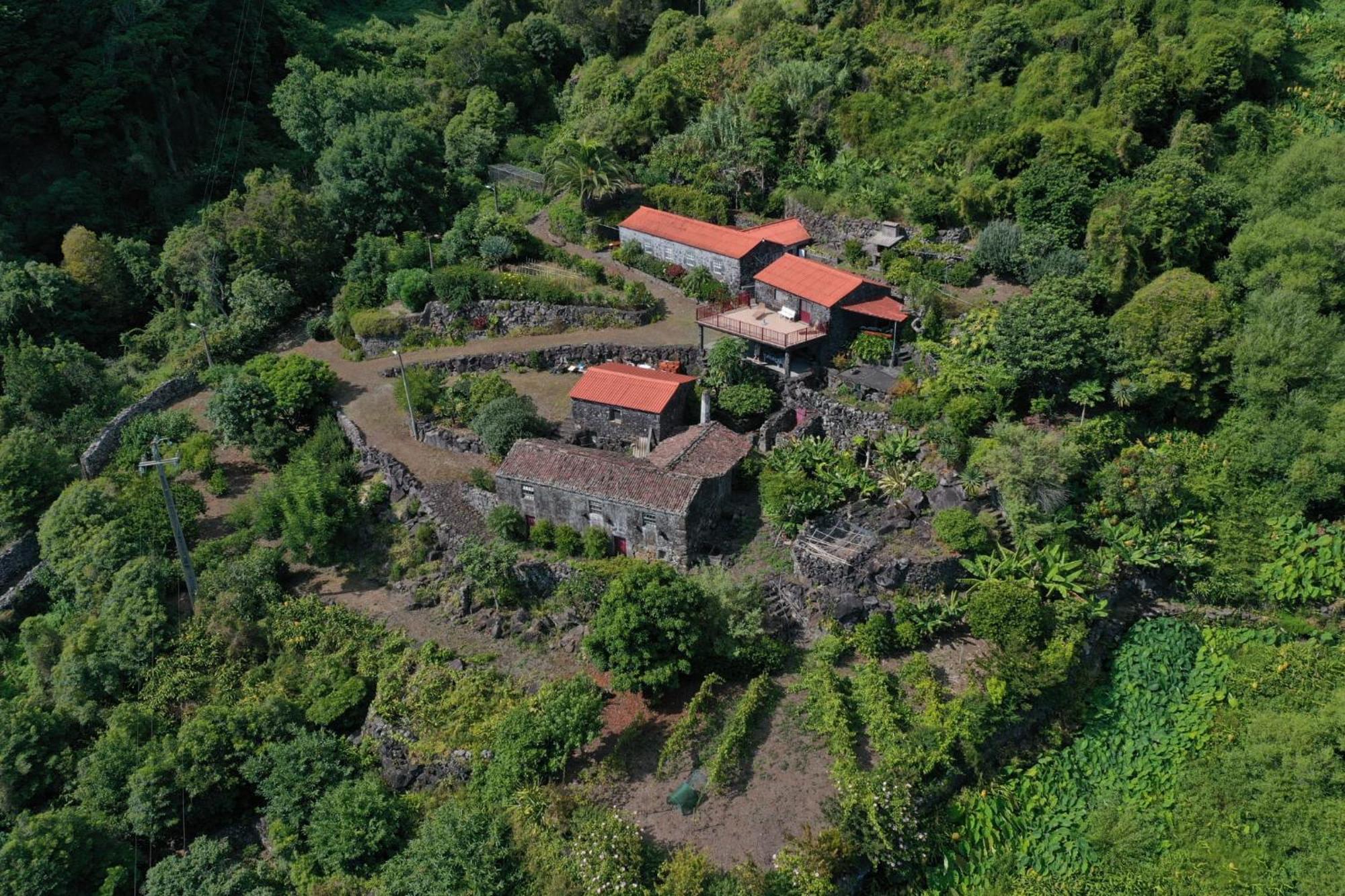 Vistalinda Farmhouse Faja dos Vimes エクステリア 写真